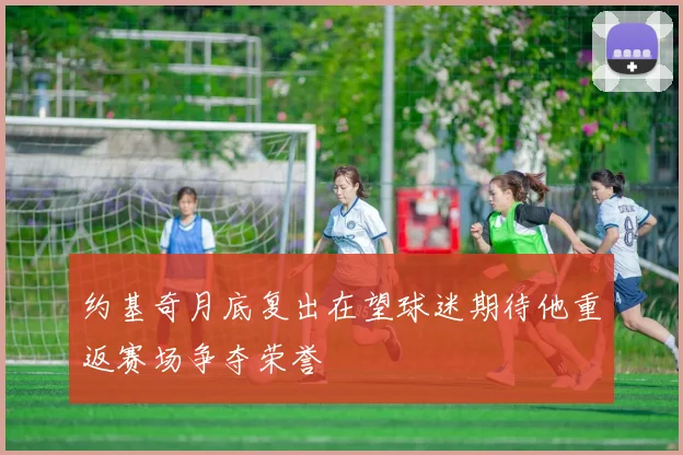 约基奇月底复出在望球迷期待他重返赛场争夺荣誉