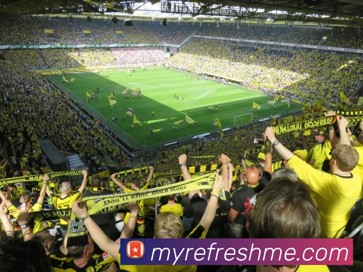 广发体育官方网站服务体系